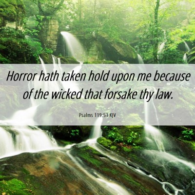 Picture 06 - Psalms 119:53 KJV - Horror hath taken hold upon me because of the - Bible Verse Picture