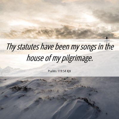 Picture 06 - Psalms 119:54 KJV - Thy statutes have been my songs in the house of - Bible Verse Picture