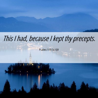 Picture 06 - Psalms 119:56 KJV - This I had, because I kept thy - Bible Verse Picture
