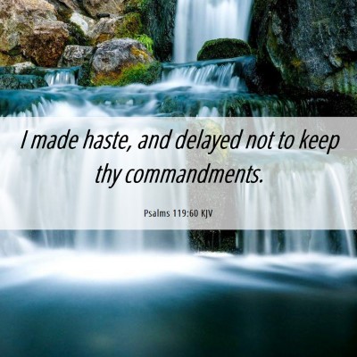 Picture 06 - Psalms 119:60 KJV - I made haste, and delayed not to keep thy - Bible Verse Picture