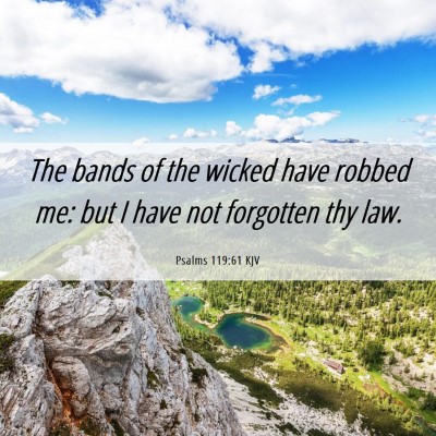 Picture 06 - Psalms 119:61 KJV - The bands of the wicked have robbed me: but I - Bible Verse Picture