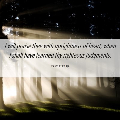 Picture 06 - Psalms 119:7 KJV - I will praise thee with uprightness of heart, - Bible Verse Picture