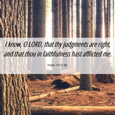 Picture 06 - Psalms 119:75 KJV - I know, O LORD, that thy judgments are right, and - Bible Verse Picture