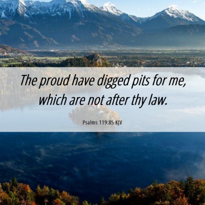Picture 06 - Psalms 119:85 KJV - The proud have digged pits for me, which are not - Bible Verse Picture