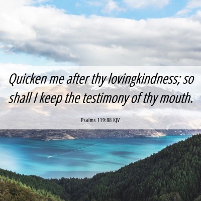 Picture 06 - Psalms 119:88 KJV - Quicken me after thy lovingkindness; so shall I - Bible Verse Picture