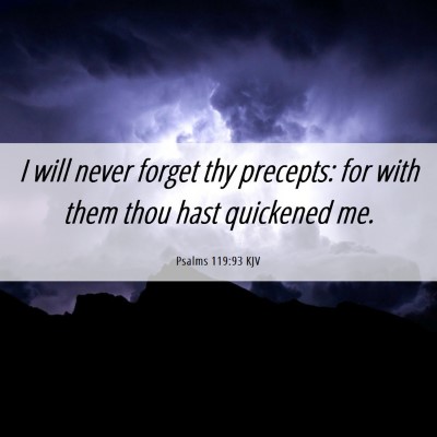 Picture 06 - Psalms 119:93 KJV - I will never forget thy precepts: for with them - Bible Verse Picture