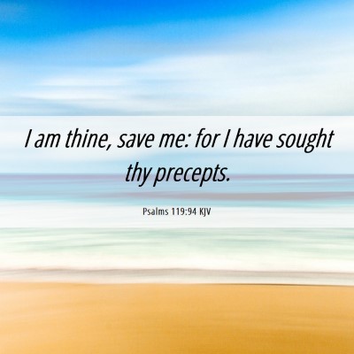 Picture 06 - Psalms 119:94 KJV - I am thine, save me: for I have sought thy - Bible Verse Picture