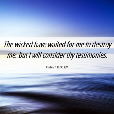 Picture 06 - Psalms 119:95 KJV - The wicked have waited for me to destroy me: but - Bible Verse Picture