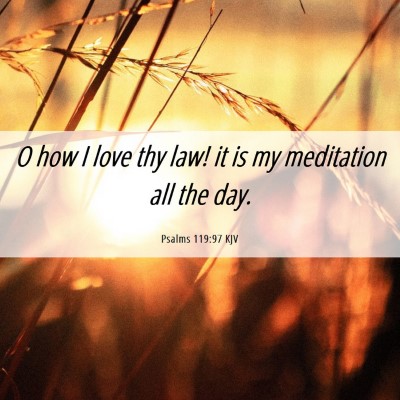 Picture 06 - Psalms 119:97 KJV - O how I love thy law! it is my meditation all the - Bible Verse Picture