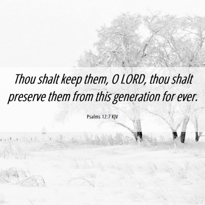 Picture 06 - Psalms 12:7 KJV - Thou shalt keep them, O LORD, thou shalt preserve - Bible Verse Picture