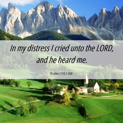 Picture 06 - Psalms 120:1 KJV - In my distress I cried unto the LORD, and he - Bible Verse Picture