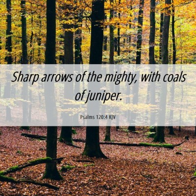 Picture 06 - Psalms 120:4 KJV - Sharp arrows of the mighty, with coals of - Bible Verse Picture