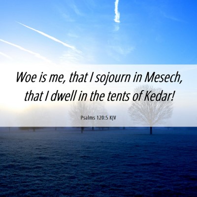 Picture 06 - Psalms 120:5 KJV - Woe is me, that I sojourn in Mesech, that I dwell - Bible Verse Picture