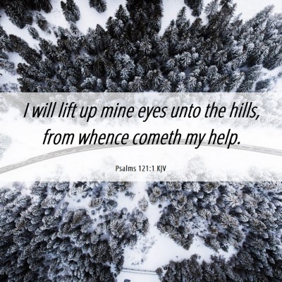 Picture 06 - Psalms 121:1 KJV - I will lift up mine eyes unto the hills, from - Bible Verse Picture