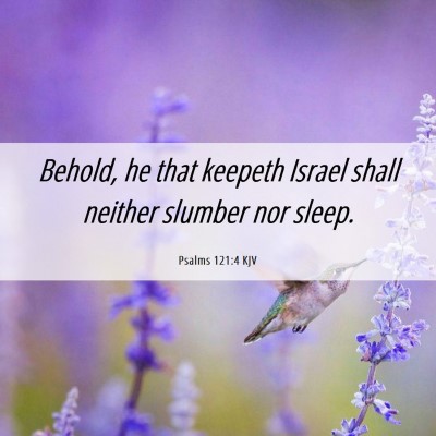 Picture 06 - Psalms 121:4 KJV - Behold, he that keepeth Israel shall neither - Bible Verse Picture