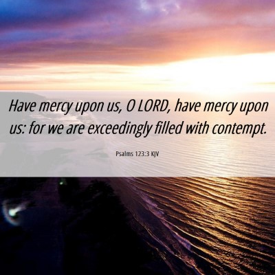 Picture 06 - Psalms 123:3 KJV - Have mercy upon us, O LORD, have mercy upon us: - Bible Verse Picture