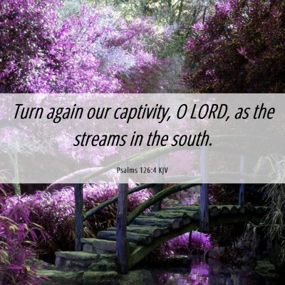 Picture 06 - Psalms 126:4 KJV - Turn again our captivity, O LORD, as the streams - Bible Verse Picture