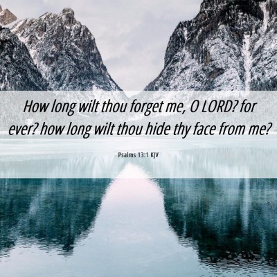 Picture 06 - Psalms 13:1 KJV - How long wilt thou forget me, O LORD? for ever? - Bible Verse Picture