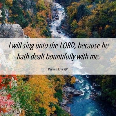 Picture 06 - Psalms 13:6 KJV - I will sing unto the LORD, because he hath dealt - Bible Verse Picture