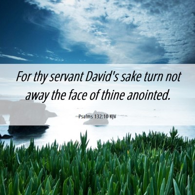 Picture 06 - Psalms 132:10 KJV - For thy servant David's sake turn not away the - Bible Verse Picture