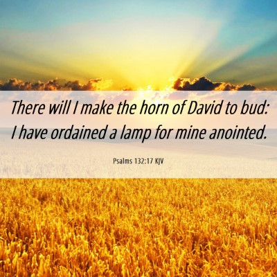 Picture 06 - Psalms 132:17 KJV - There will I make the horn of David to bud: I - Bible Verse Picture