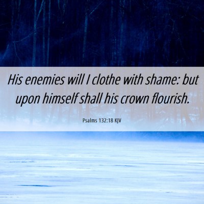 Picture 06 - Psalms 132:18 KJV - His enemies will I clothe with shame: but upon - Bible Verse Picture