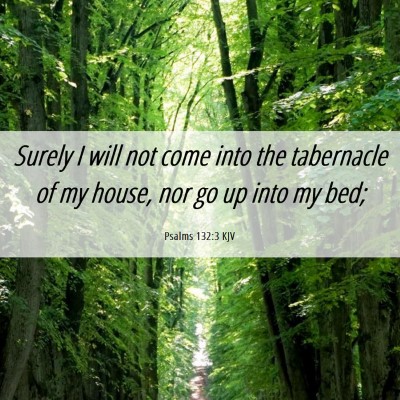 Picture 06 - Psalms 132:3 KJV - Surely I will not come into the tabernacle of my - Bible Verse Picture