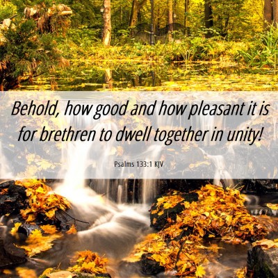 Picture 06 - Psalms 133:1 KJV - Behold, how good and how pleasant it is for - Bible Verse Picture