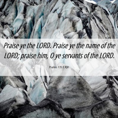 Picture 06 - Psalms 135:1 KJV - Praise ye the LORD. Praise ye the name of the - Bible Verse Picture