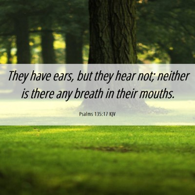 Picture 06 - Psalms 135:17 KJV - They have ears, but they hear not; neither is - Bible Verse Picture