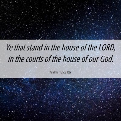 Picture 06 - Psalms 135:2 KJV - Ye that stand in the house of the LORD, in the - Bible Verse Picture