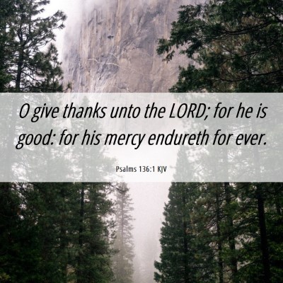 Picture 06 - Psalms 136:1 KJV - O give thanks unto the LORD; for he is good: for - Bible Verse Picture