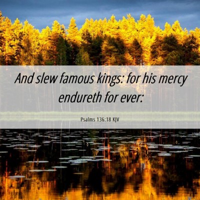 Picture 06 - Psalms 136:18 KJV - And slew famous kings: for his mercy endureth for - Bible Verse Picture