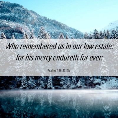 Picture 06 - Psalms 136:23 KJV - Who remembered us in our low estate: for his - Bible Verse Picture