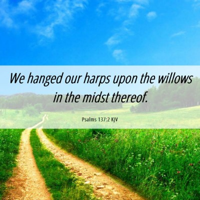 Picture 06 - Psalms 137:2 KJV - We hanged our harps upon the willows in the midst - Bible Verse Picture