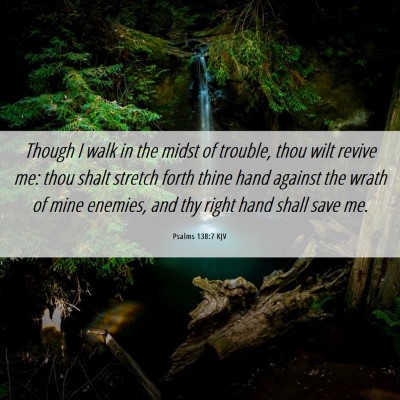 Picture 06 - Psalms 138:7 KJV - Though I walk in the midst of trouble, thou wilt - Bible Verse Picture