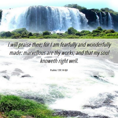 Picture 06 - Psalms 139:14 KJV - I will praise thee; for I am fearfully and - Bible Verse Picture