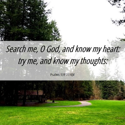 Picture 06 - Psalms 139:23 KJV - Search me, O God, and know my heart: try me, and - Bible Verse Picture