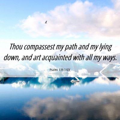 Picture 06 - Psalms 139:3 KJV - Thou compassest my path and my lying down, and - Bible Verse Picture