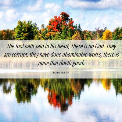 Picture 06 - Psalms 14:1 KJV - The fool hath said in his heart, There is no God. - Bible Verse Picture