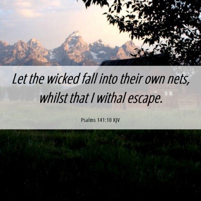 Picture 06 - Psalms 141:10 KJV - Let the wicked fall into their own nets, whilst - Bible Verse Picture