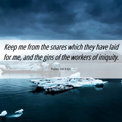 Picture 06 - Psalms 141:9 KJV - Keep me from the snares which they have laid for - Bible Verse Picture