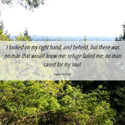 Picture 06 - Psalms 142:4 KJV - I looked on my right hand, and beheld, but there - Bible Verse Picture