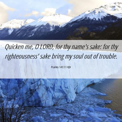 Picture 06 - Psalms 143:11 KJV - Quicken me, O LORD, for thy name's sake: for thy - Bible Verse Picture