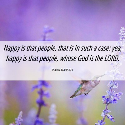 Picture 06 - Psalms 144:15 KJV - Happy is that people, that is in such a case: - Bible Verse Picture