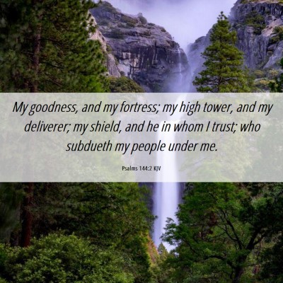 Picture 06 - Psalms 144:2 KJV - My goodness, and my fortress; my high tower, and - Bible Verse Picture