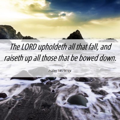 Picture 06 - Psalms 145:14 KJV - The LORD upholdeth all that fall, and raiseth up - Bible Verse Picture
