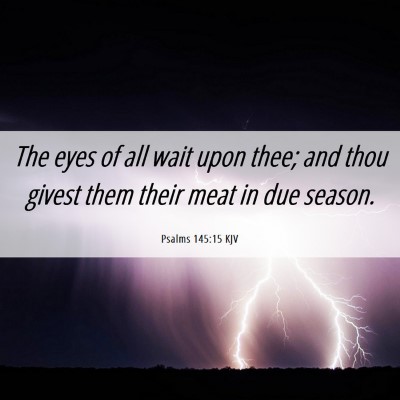 Picture 06 - Psalms 145:15 KJV - The eyes of all wait upon thee; and thou givest - Bible Verse Picture
