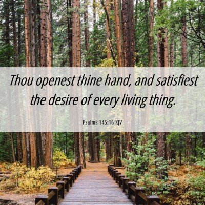Picture 06 - Psalms 145:16 KJV - Thou openest thine hand, and satisfiest the - Bible Verse Picture
