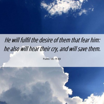 Picture 06 - Psalms 145:19 KJV - He will fulfil the desire of them that fear him: - Bible Verse Picture